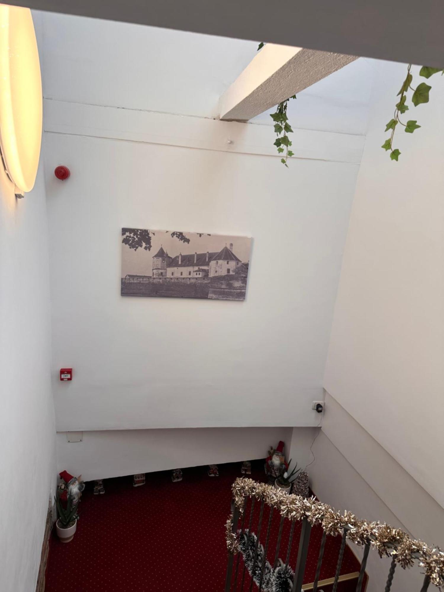 Pensiunea Sada Făgăraş Extérieur photo
