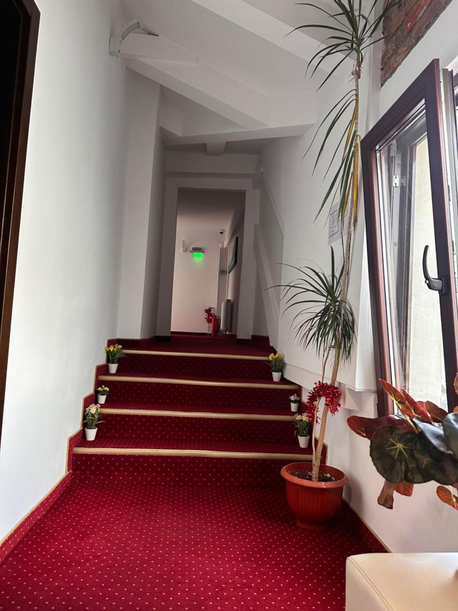 Pensiunea Sada Făgăraş Extérieur photo